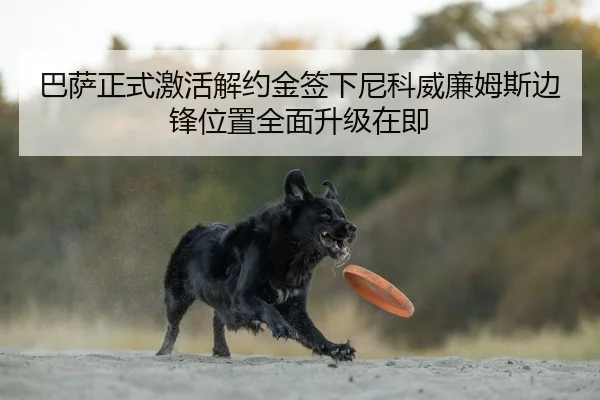 巴萨正式激活解约金签下尼科威廉姆斯边锋位置全面升级在即